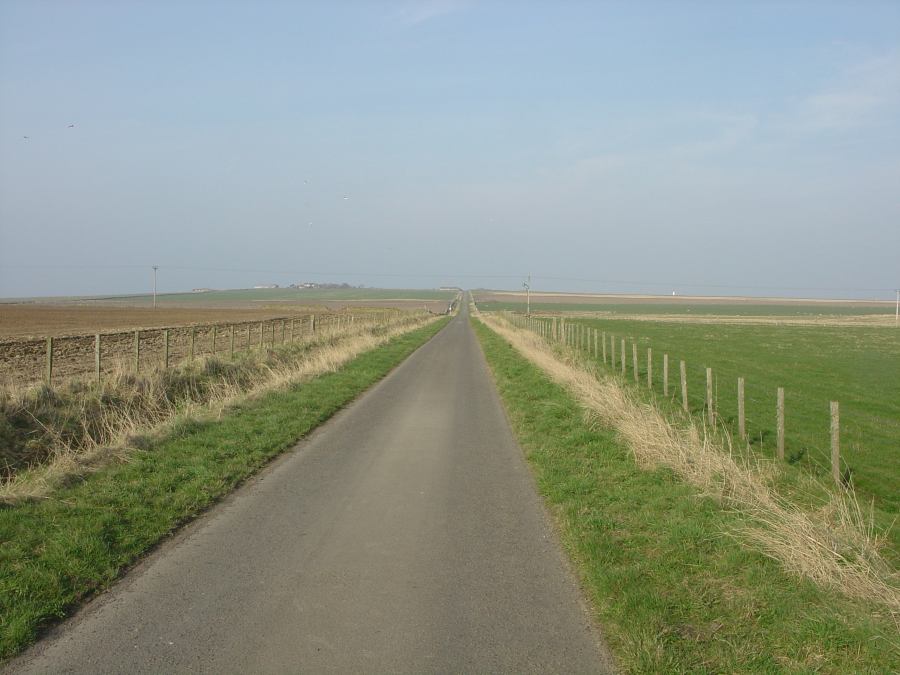 Photo: Road To Noss - 1 March 2005