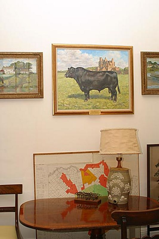 Photo: Picture of Aberdeen Angus
