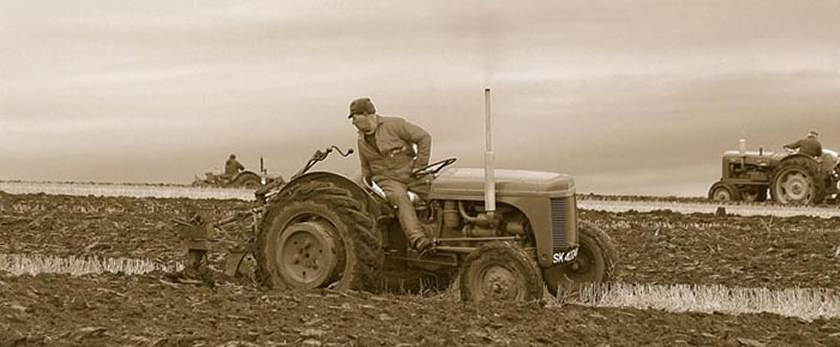 Photo: Ploughing Competition 2003