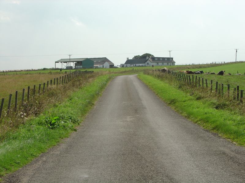 Photo: A Farm At Bower