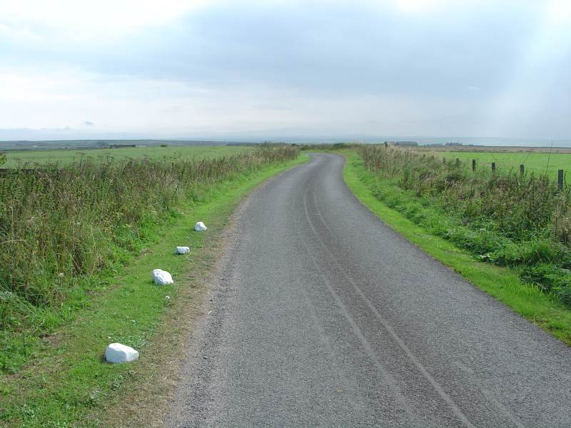 Photo: A Back Road To Wick From Bower