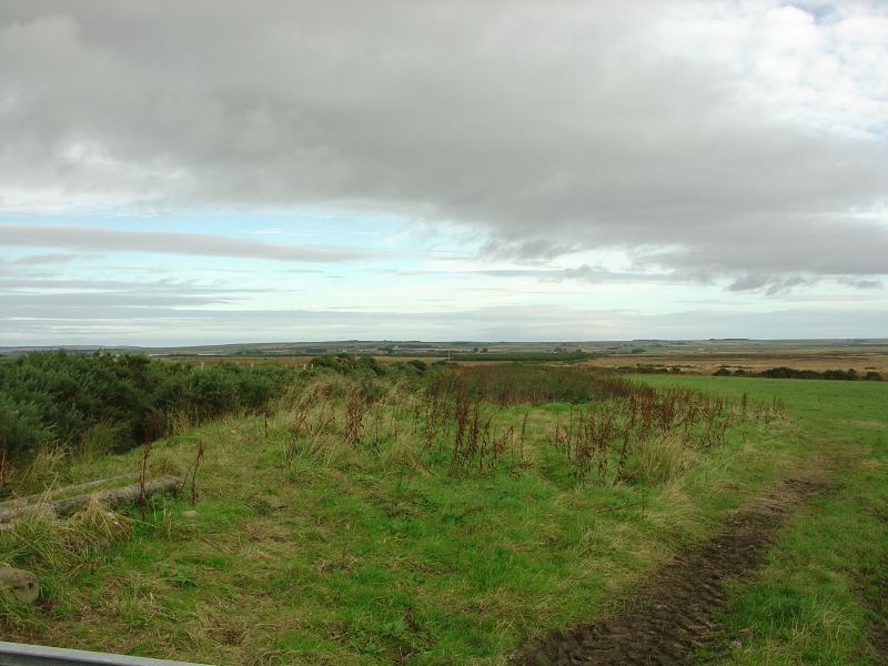Photo: A Flex Hill View