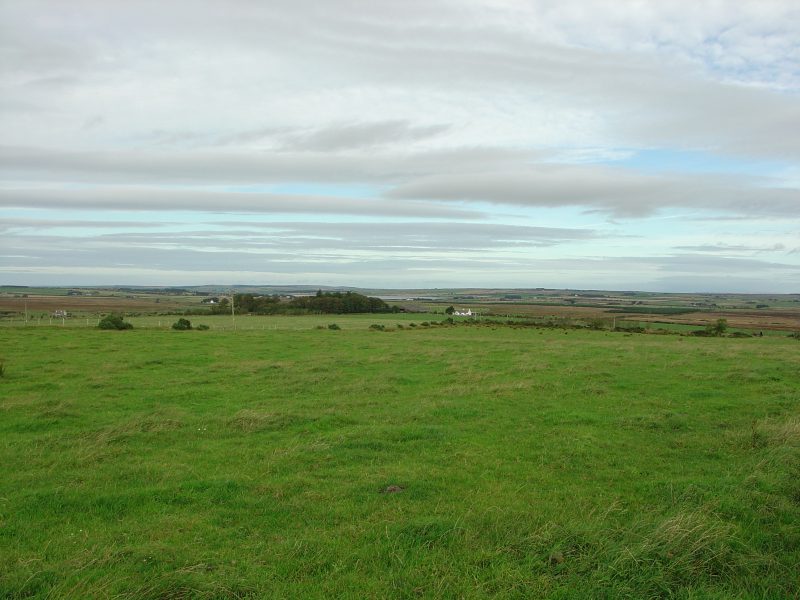 Photo: A Flex Hill View