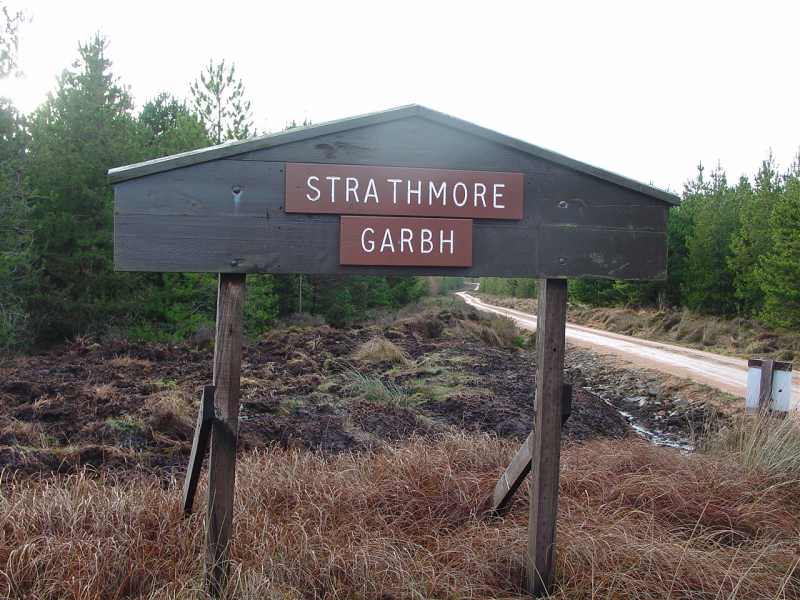 Photo: Strathmore Forest