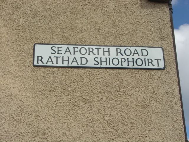 Photo: Seaforth Road, Golspie