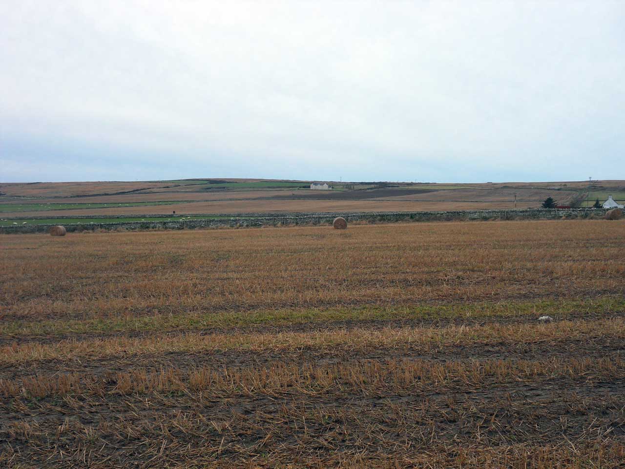 Photo: View From Wolfburn Road, West Gills, Thurso