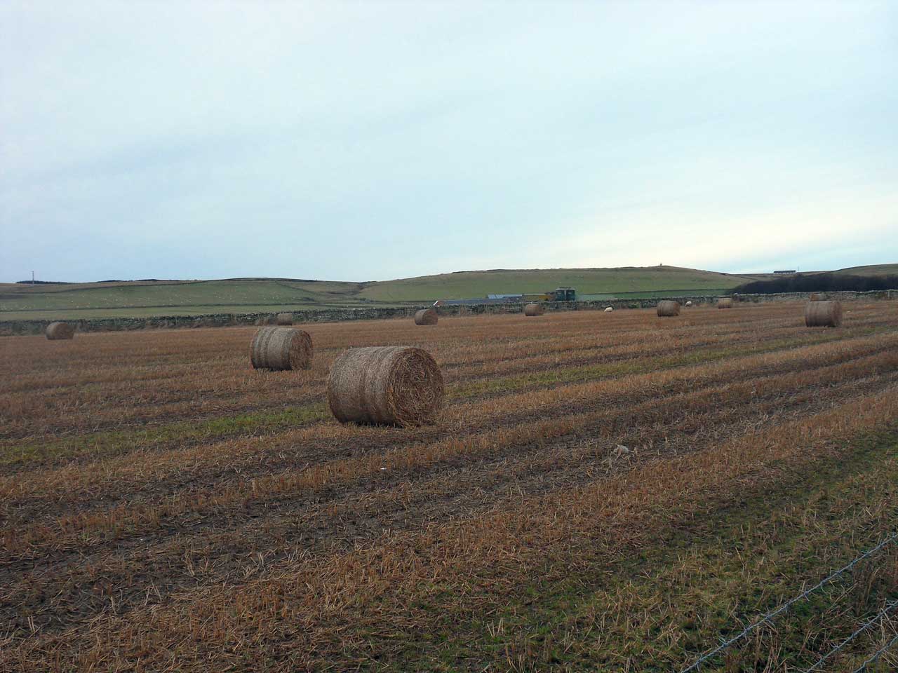 Photo: View From Wolfburn Road, West Gills, Thurso