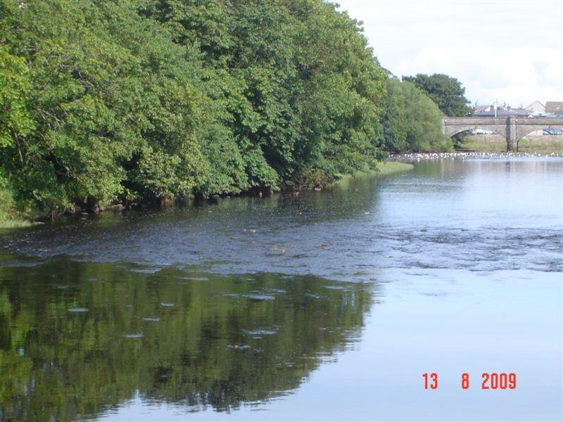 Photo: Thurso River, Caithness - 13 August 2009
