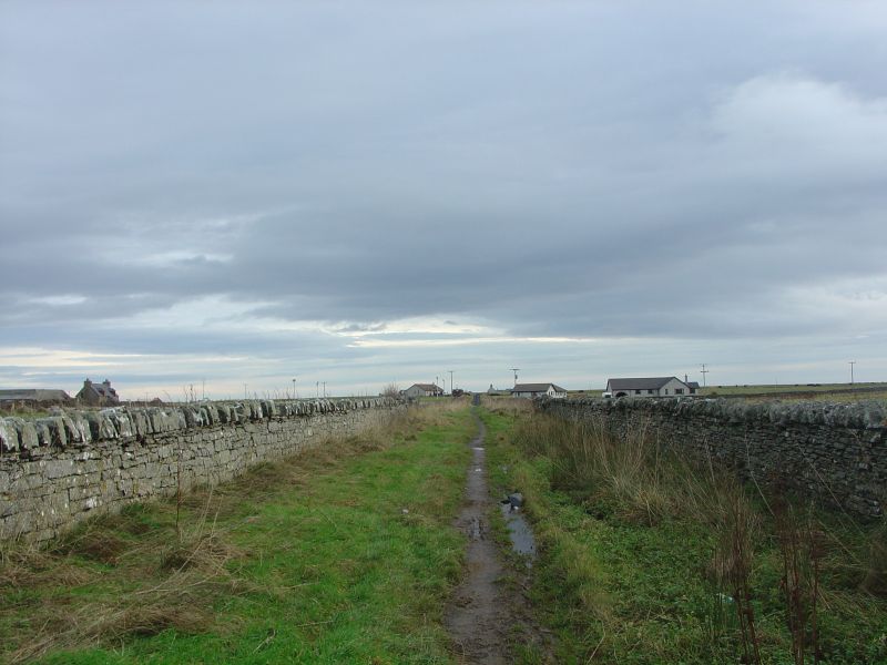 Photo: Bridleway To Olod Wick - 11 December 2005