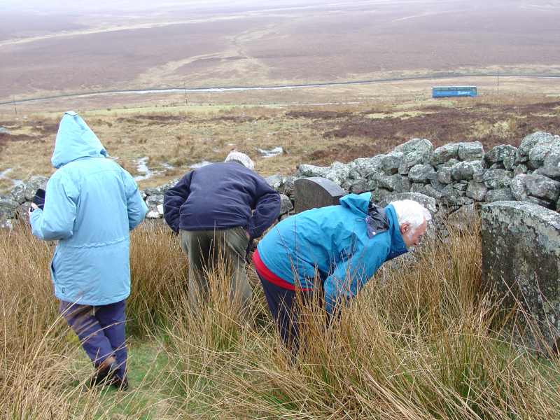 Photo: Checking Out Early Graves In the Strath 18 April 2004