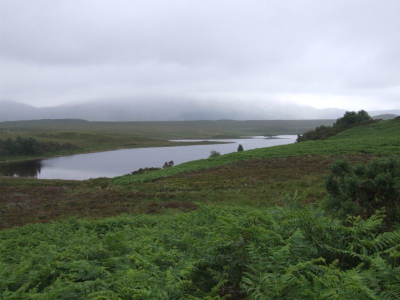 Photo: Caithness Field  Club - Grianan, Loch Hakel Near Tongue - 6 July 2008