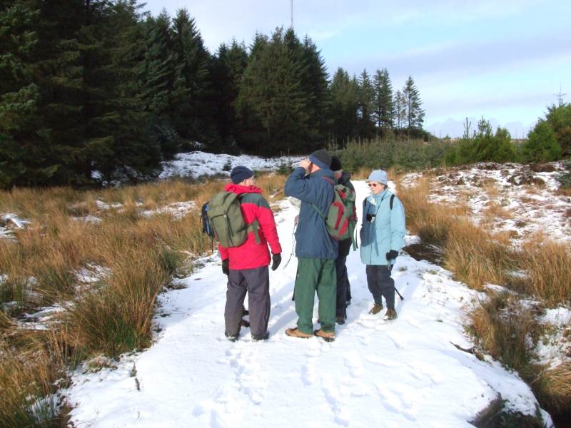 Photo: Caithness Field Club - Rumster Forest 21 January 2007