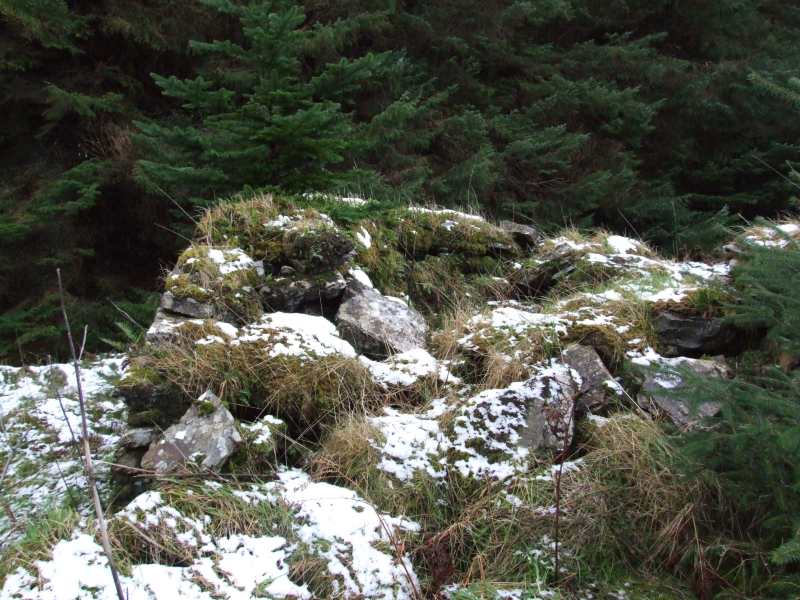 Photo: A Kiln At Golsary - Rumster Forest 21 January 2007