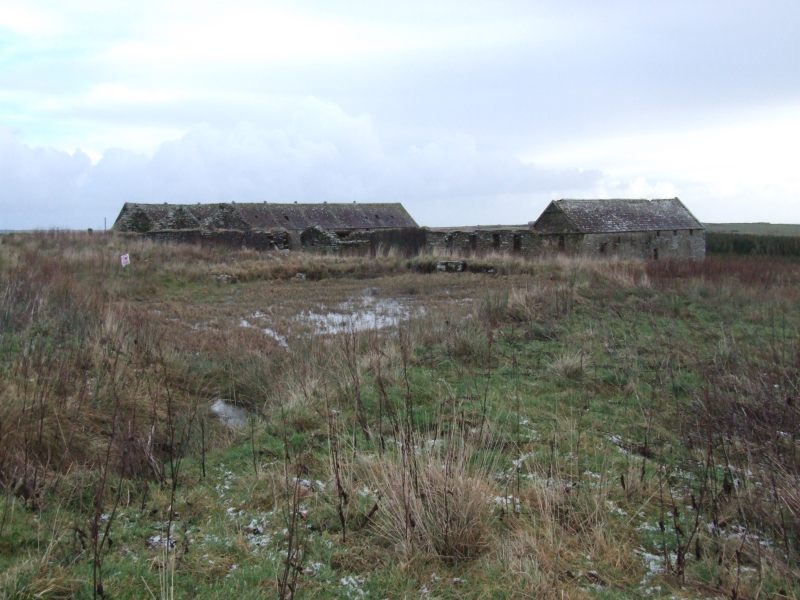 Photo: Caithness Field  Club - Rumster Forest 21 January 2007