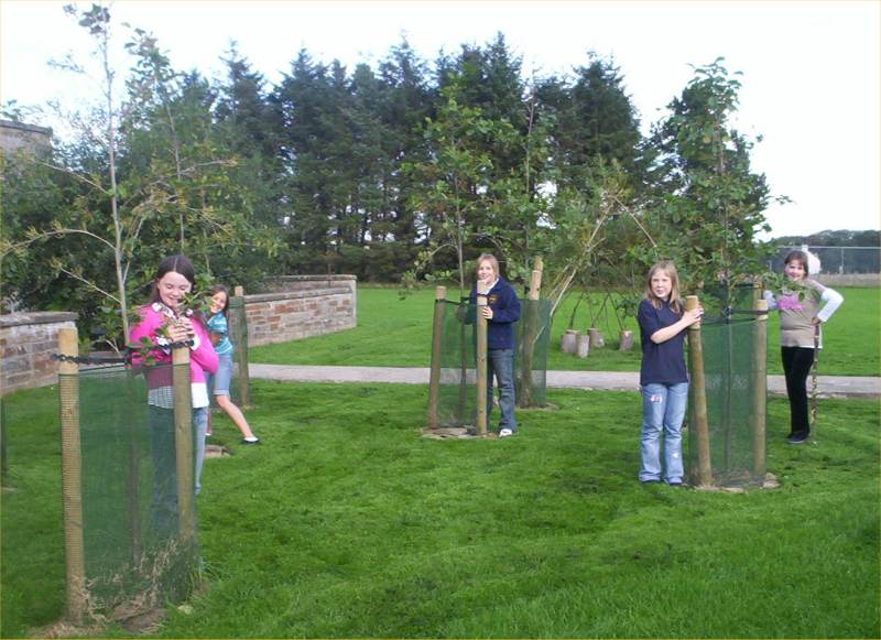 Photo: Halkirk School Garden Project 2006