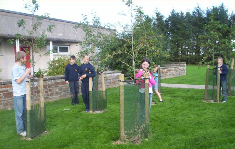 Photo: Halkirk School Garden Project 2006