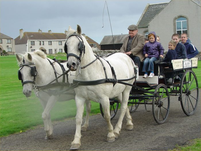 Photo: Keiss Kids Try Old Fashioned Horse Transport