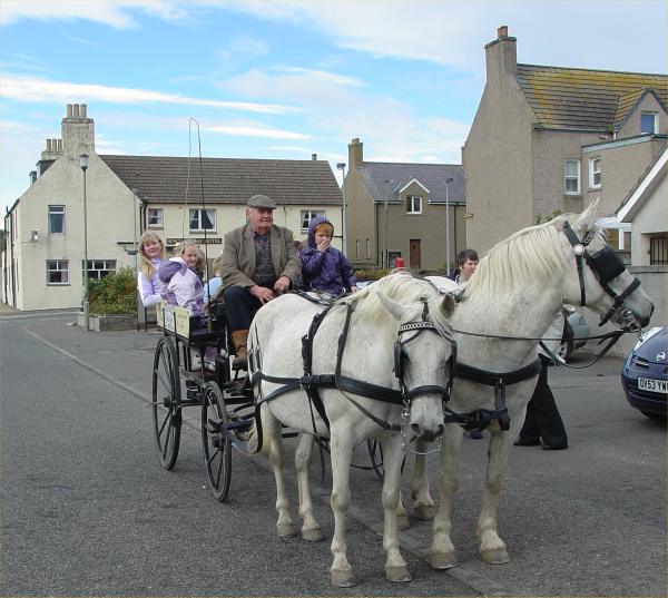 Photo: Keiss Kids Try Old Fashioned Horse Transport