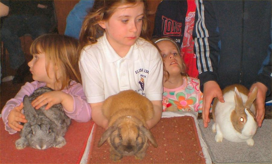 Photo: First Rabbit Show Of Caithness Rabbit Fanciers Association