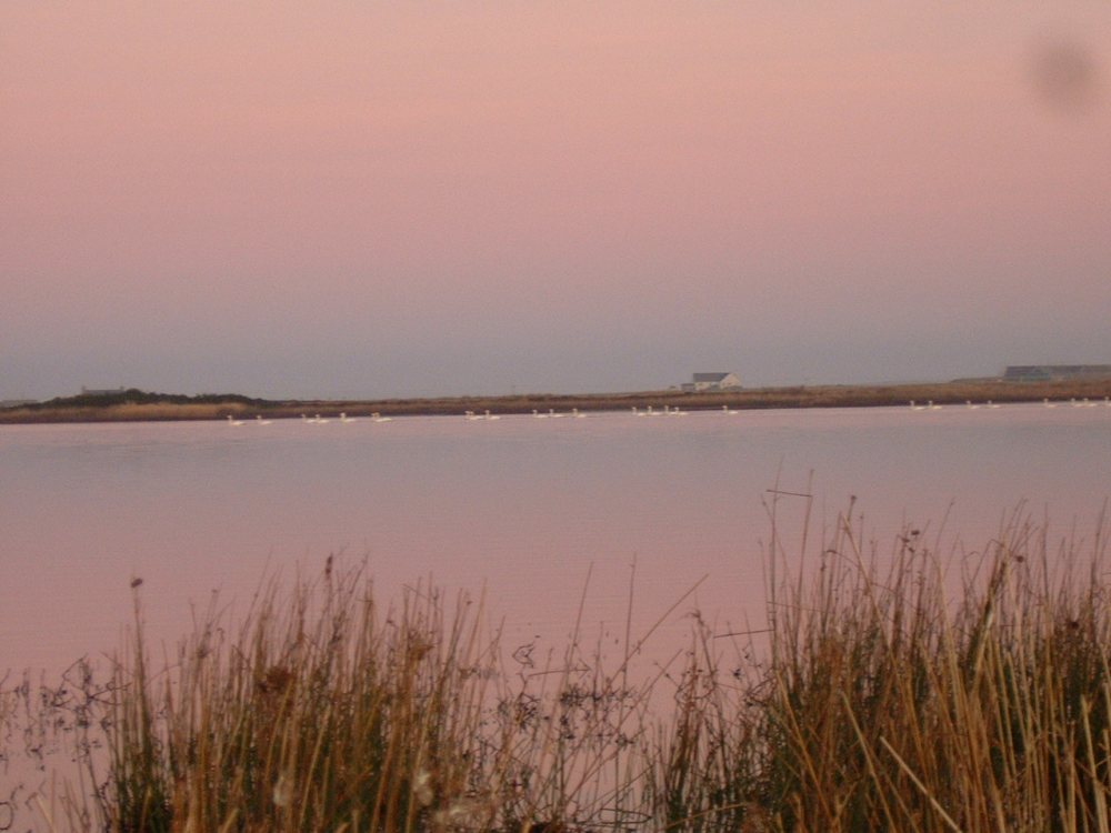 Photo: Loch Of Mey At Sunset In The Pink