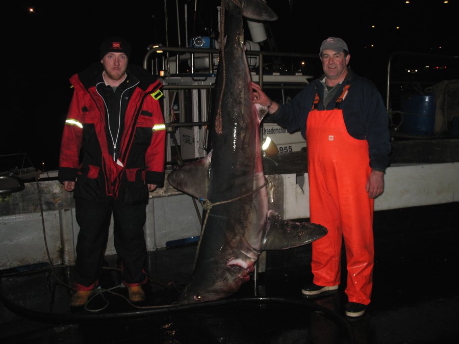 Photo: Ross Mackay Who Caught The Shark With Skipper Colin Richard