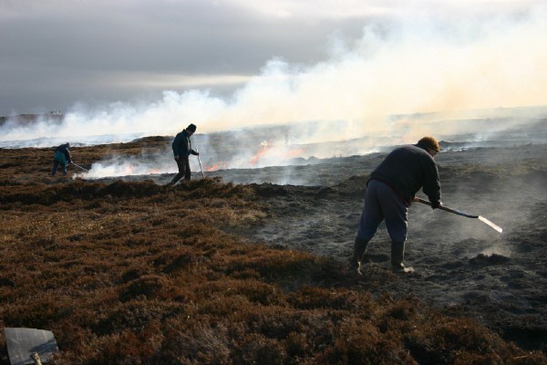 Photo: Heath Fire At Dunnet Head Destroys Large Area