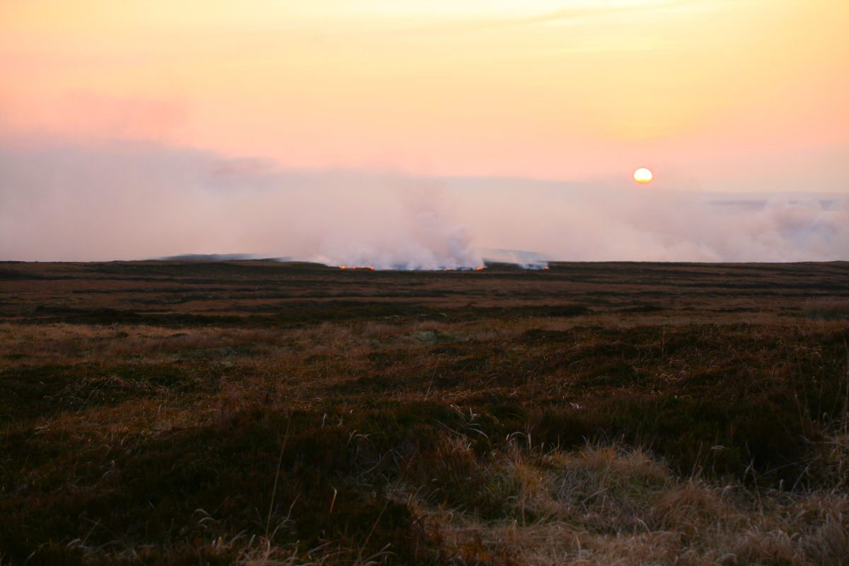 Photo: Heath Fire At Dunnet Head Destroys Large Area