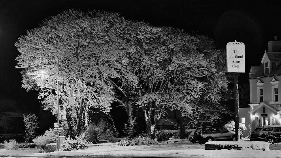 Photo: Lybster Snowy Night 10 February 2009