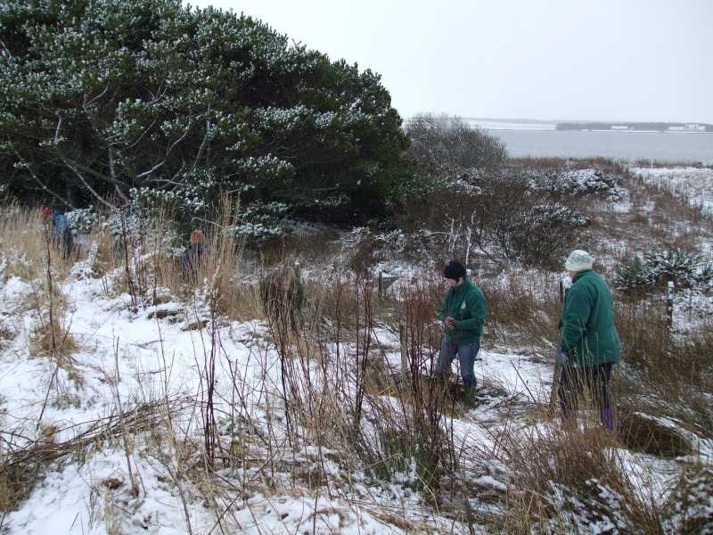 Photo: Caithness Countryside Volunteers Carry Out Maintenance Work At St John's Pool