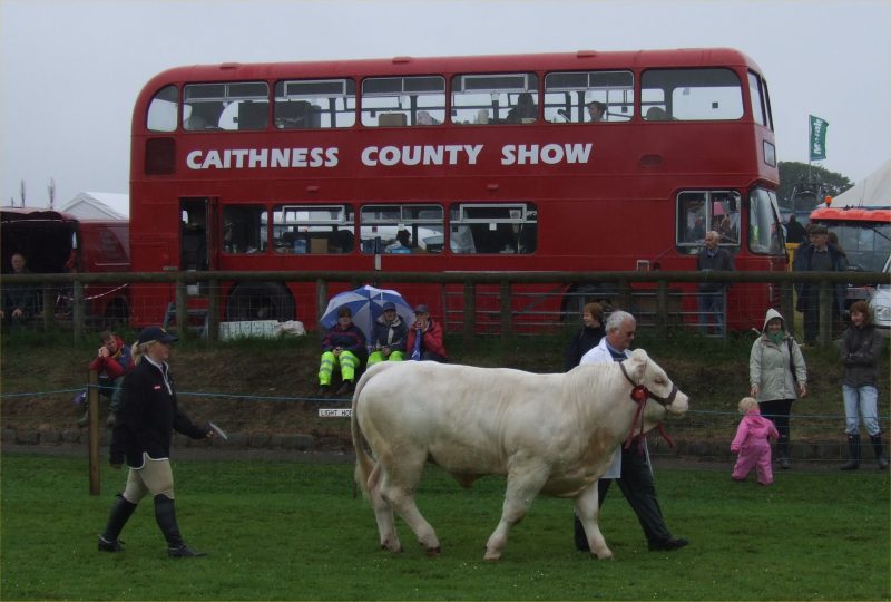 Photo: Caithness County show 2009