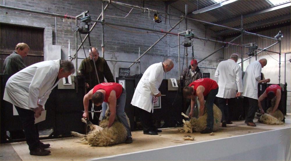 Photo: Caithness Shears 2009 Competition