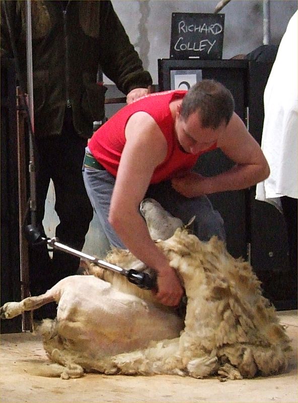 Photo: Caithness Shears 2009 Competition