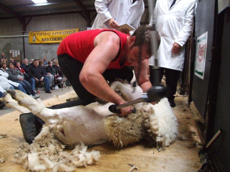 Photo: Caithness Shears 2009