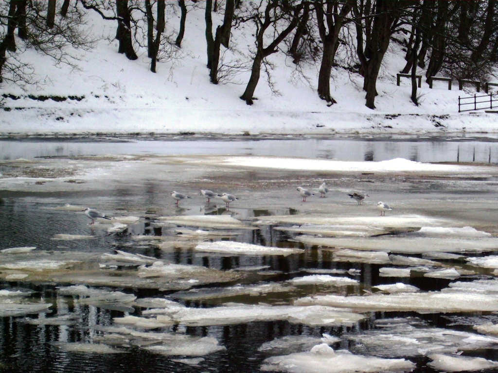 Photo: Boxing Day Thaw At Wick River 2010