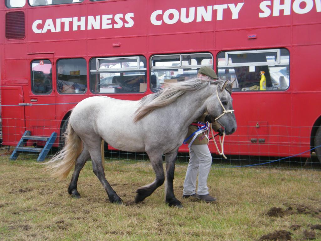 Photo: Caithness County Show 2010