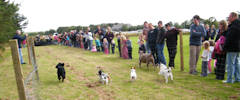 Bower Gala 2011 - Pet Dog Races