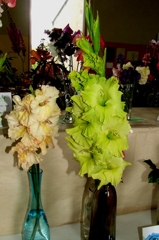 Photo: Reay Horticultural Show 2011