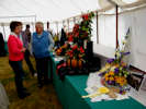 Caithness County Show 2011 - Flower Show