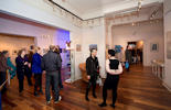 Axolotl Gallery - Northern Artists Exhibition