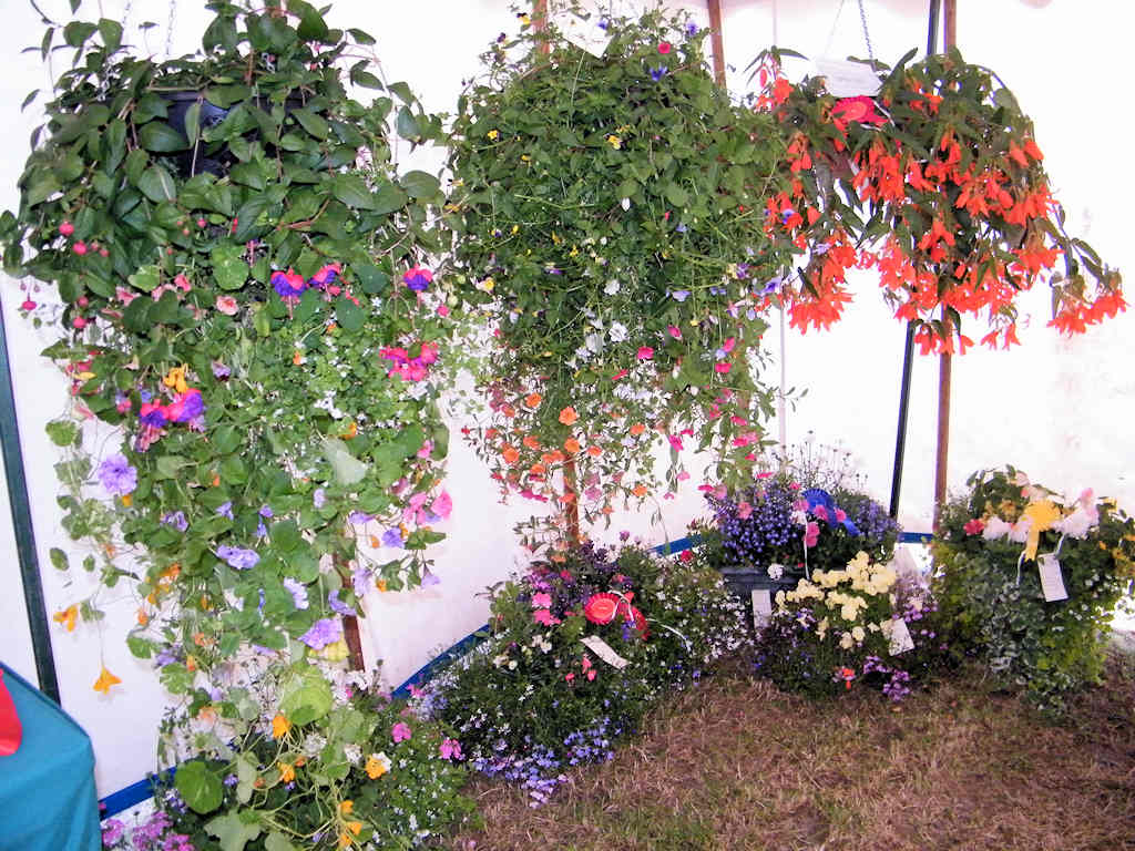 Photo: Flower Tent At Caithness County Show 2012