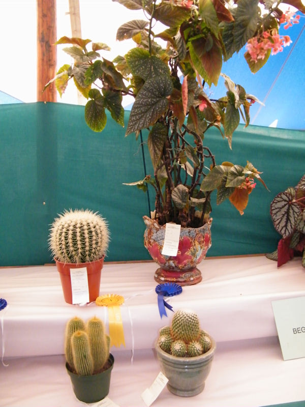 Photo: Flower Tent At Caithness County Show 2012