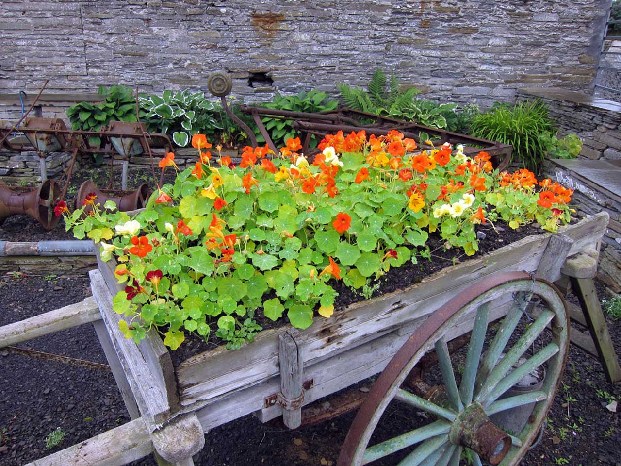 Photo: Castlehill Heritage Garden In Full Bloom