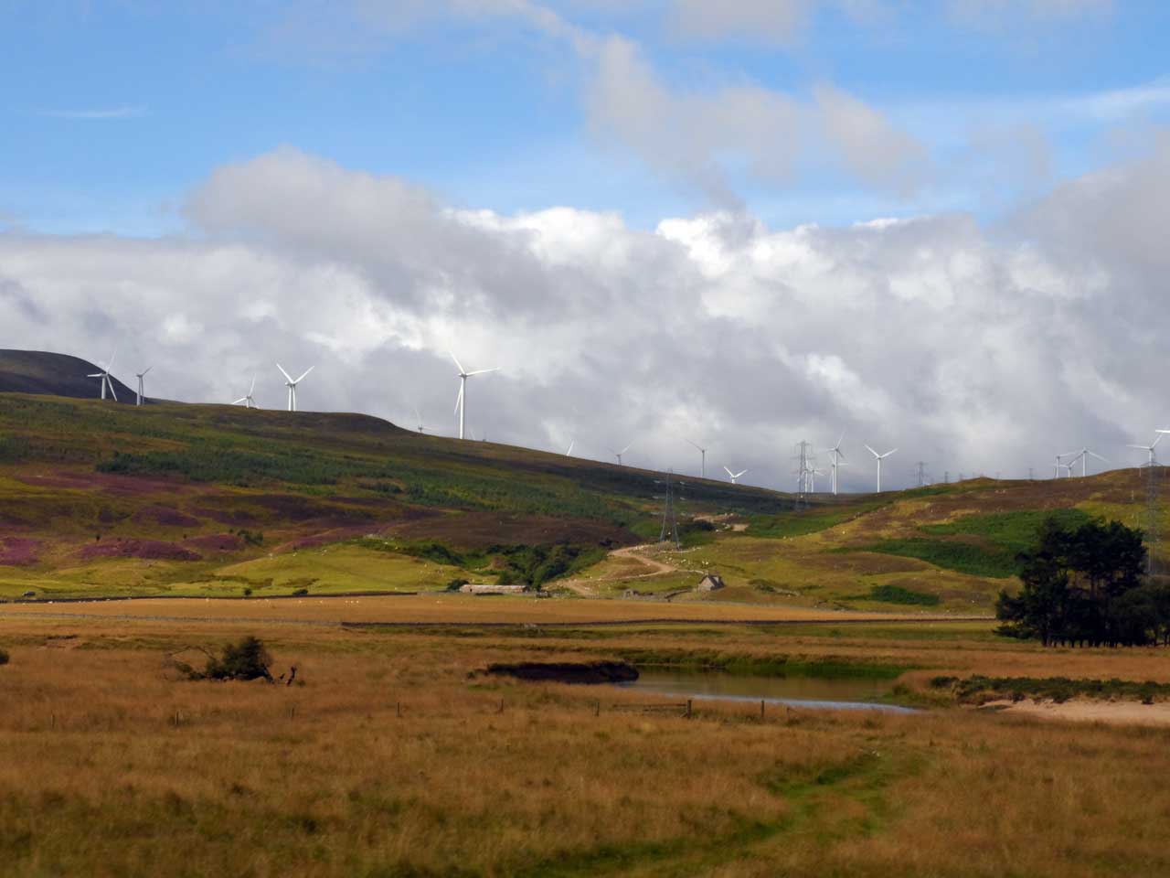 Photo: Kilbraur Wind Farm On The Way To Gordonbush