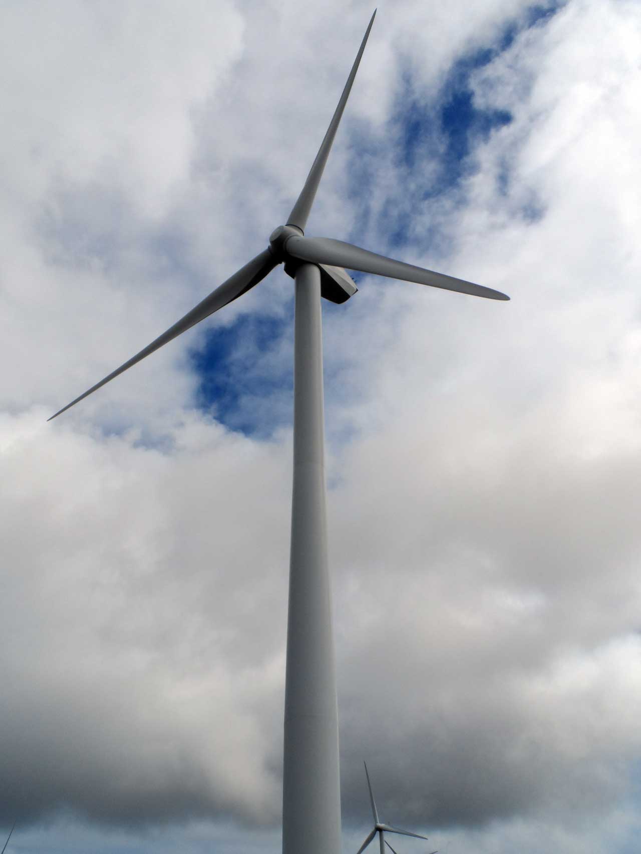 Photo: Open Day For Community At Gordonbush Wind Farm