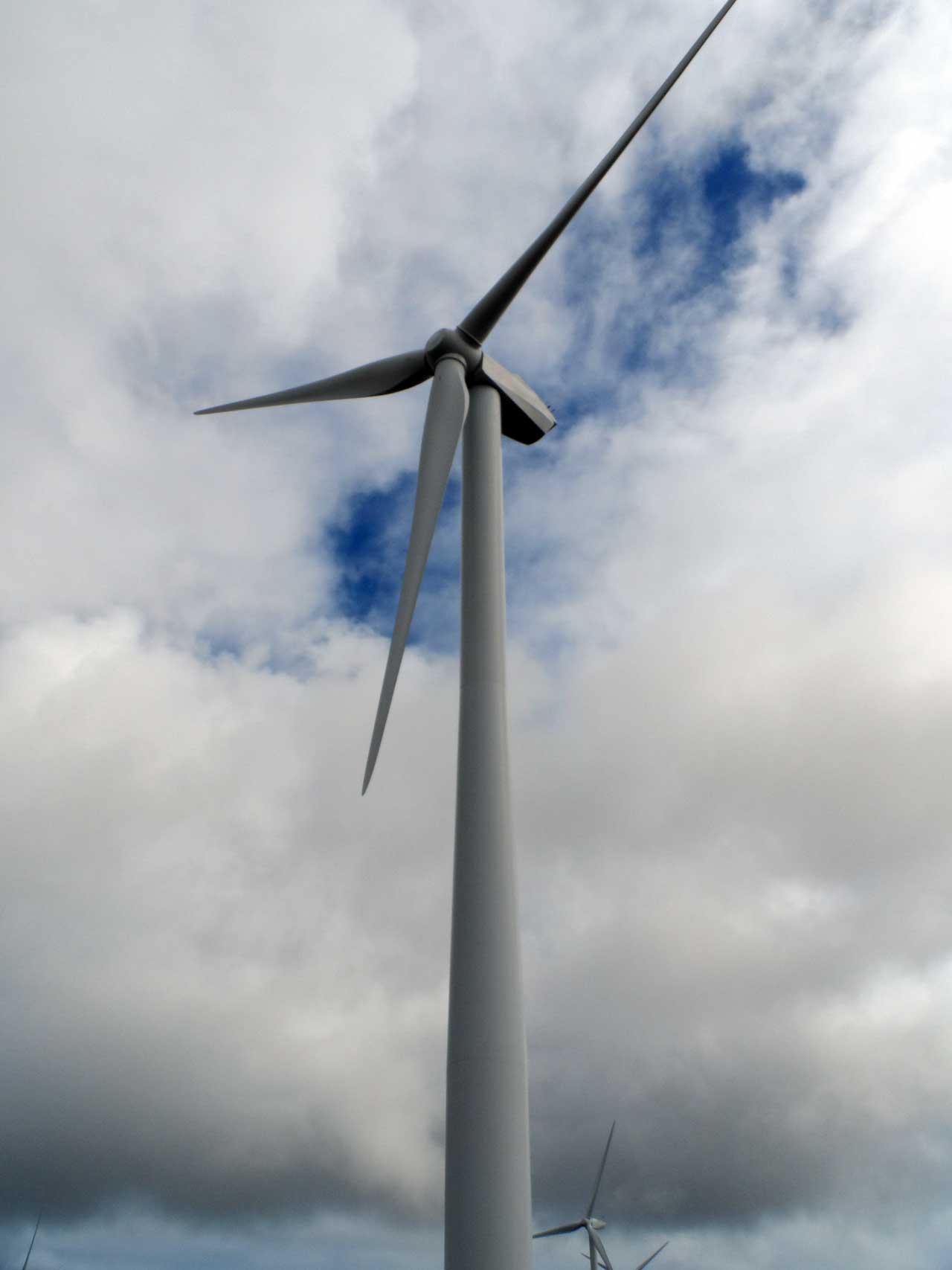 Photo: Open Day For Community At Gordonbush Wind Farm
