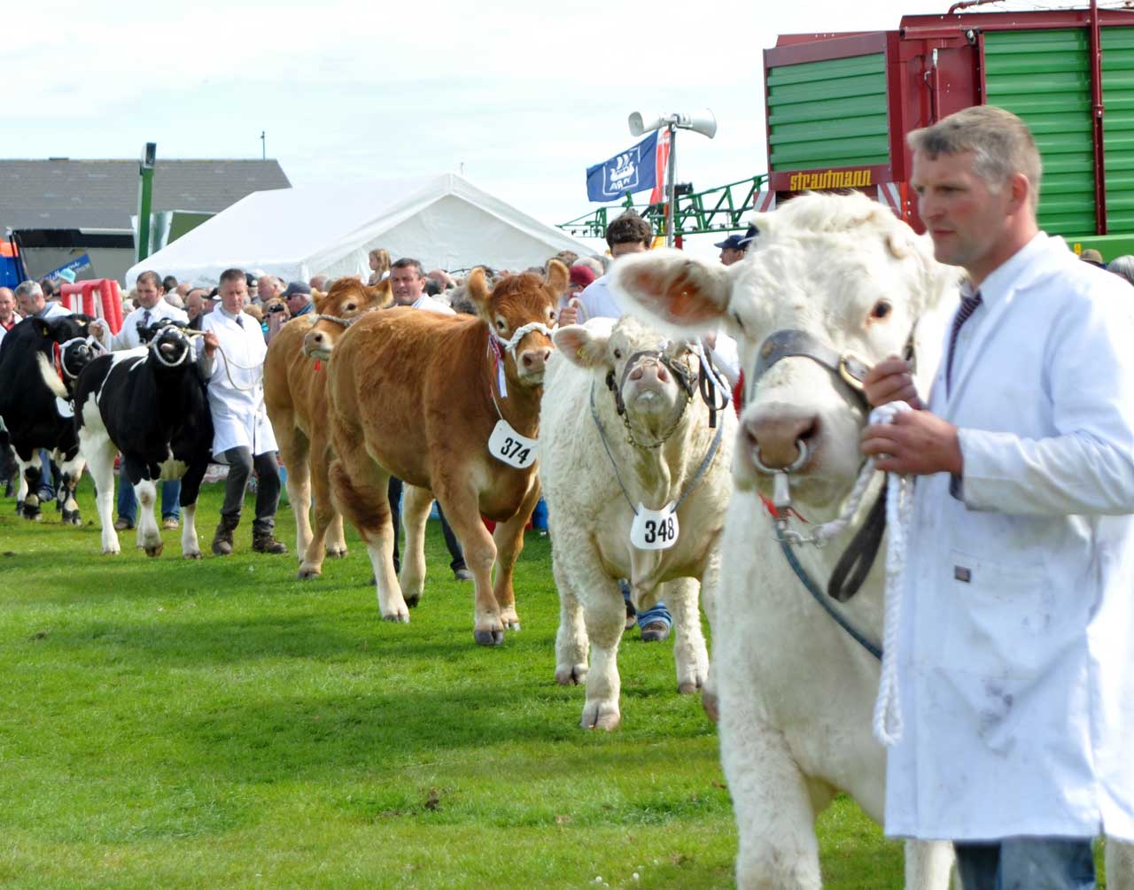 Photo: Orkney Show 2013