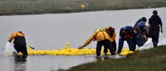 Duck Race For Wick Lifeboat