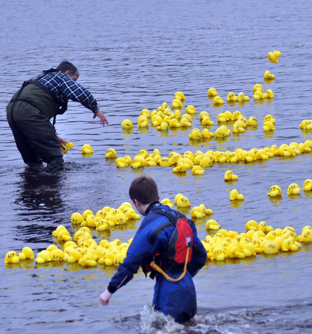 Photo: Duck Race Fundraiser For Lifeboats