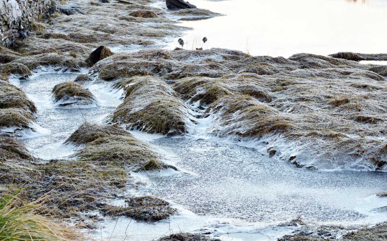 Photo: Frosty River Walk At Wick River