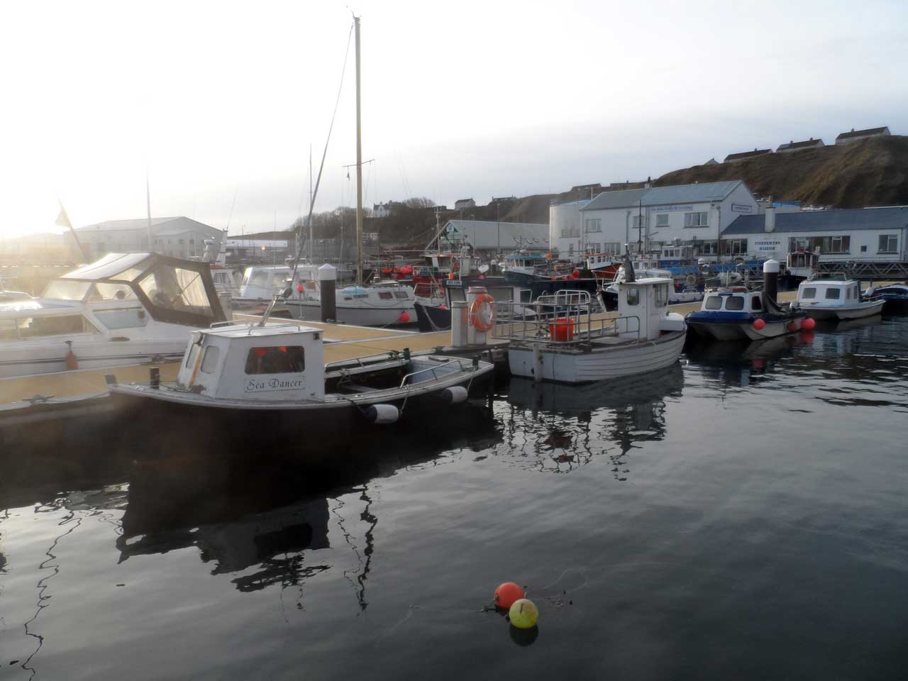 Photo: Scrabster Harbour 5th January 2014